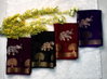 Tew Soft Georgette Jacquard Viewing Saree Wholesalers In Delhi